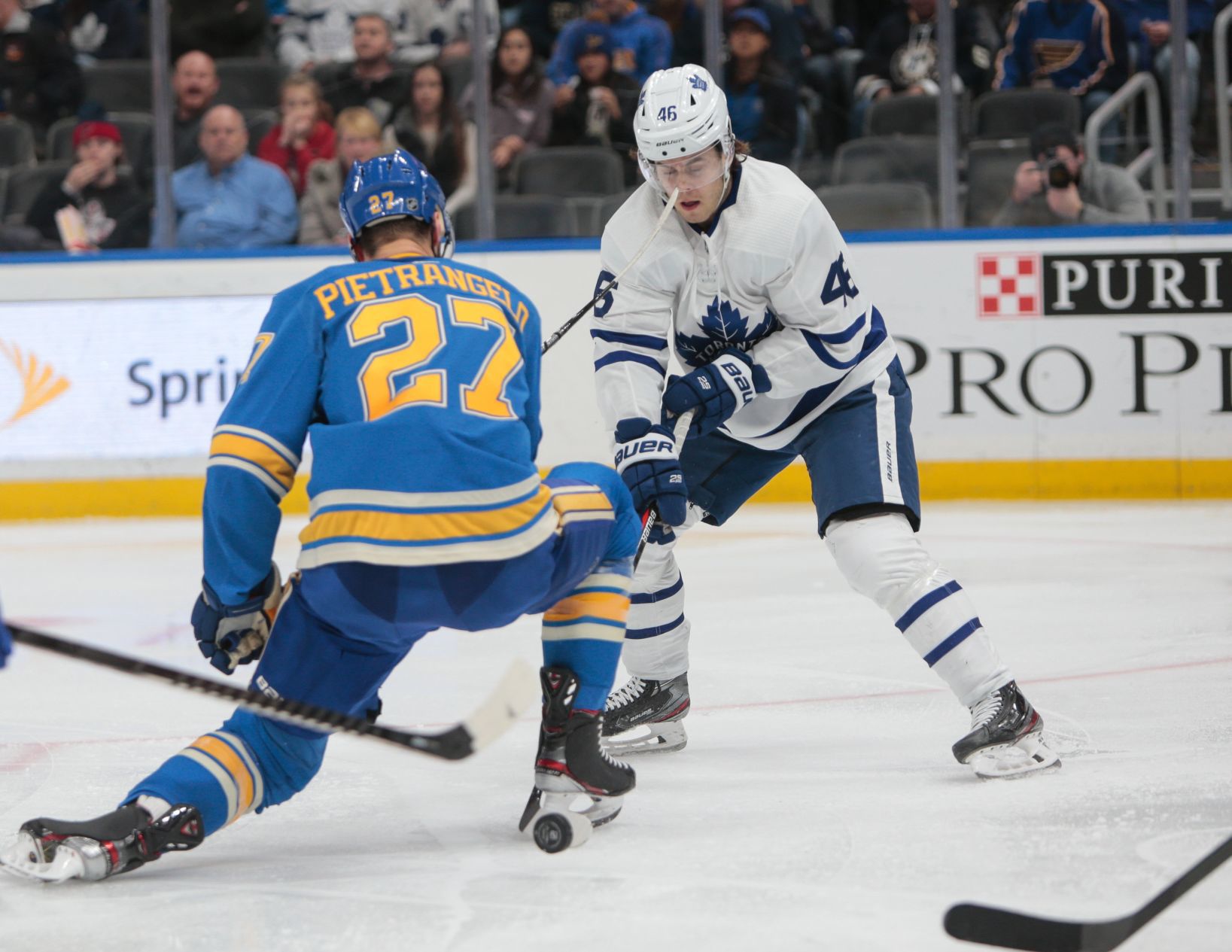 Blues take on Maple Leafs
